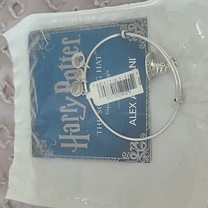Alex and Ani Harey potter sorting g hat bracelet.